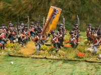SMALL Napoleonic 42   2018  Scottish Highlanders